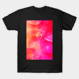 Pink camellia flowers 2 T-Shirt